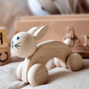 Rabbit on Wheels