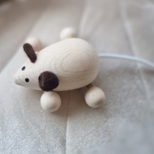Little Mouse