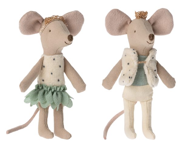Royal twins mice, Little sister and brother in box