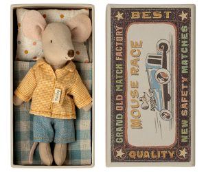 Big brother mouse in matchbox