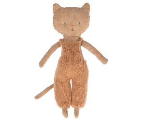 Chatons, Kitten - Ginger