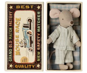 Big brother mouse in matchbox