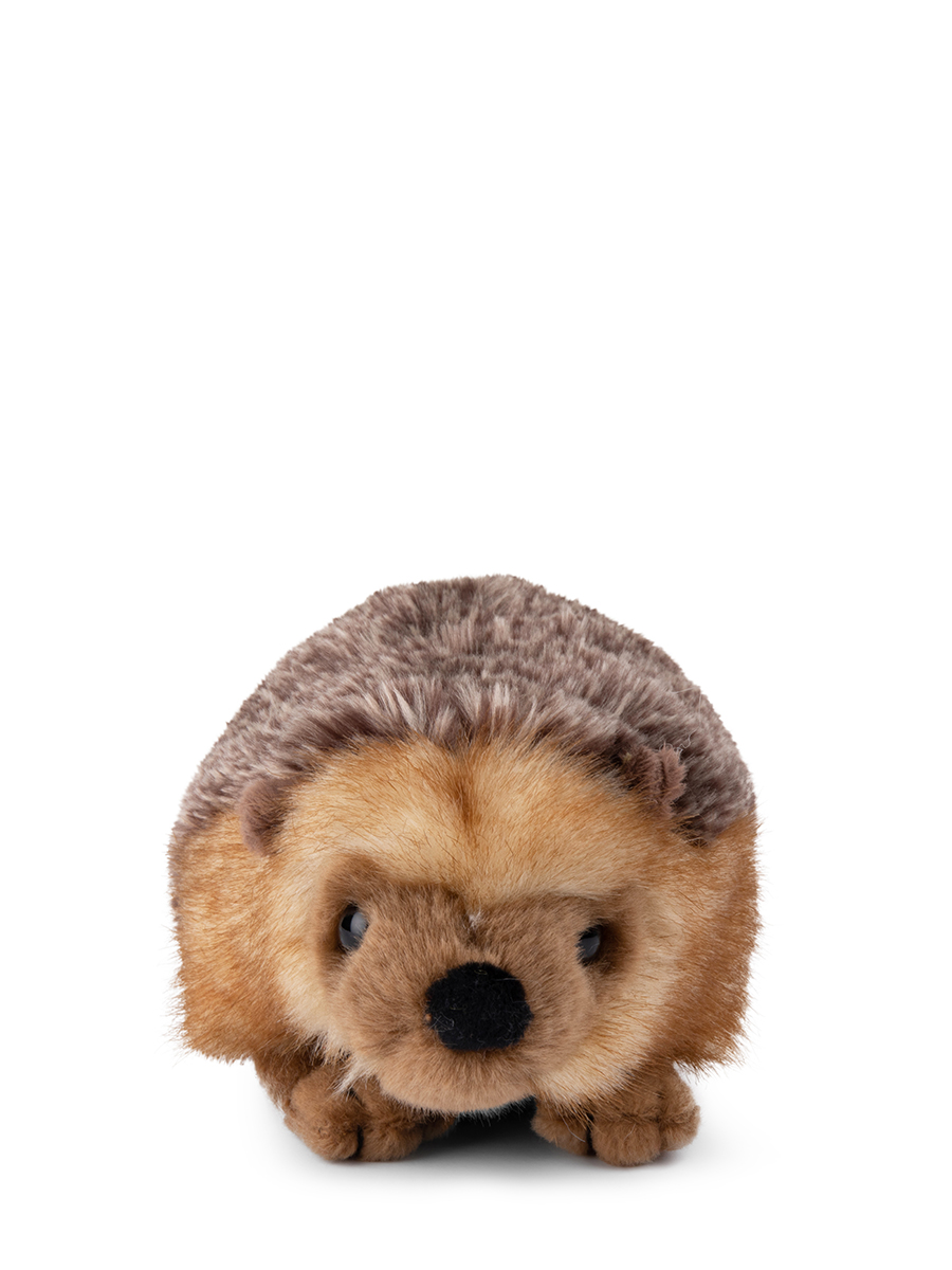 Hedgehog - 18 cm