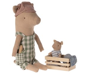 Pig, Baby in box - Boy