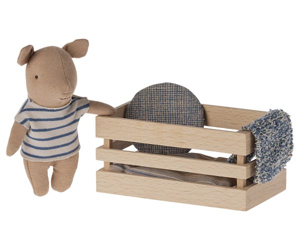 Pig, Baby in box - Boy