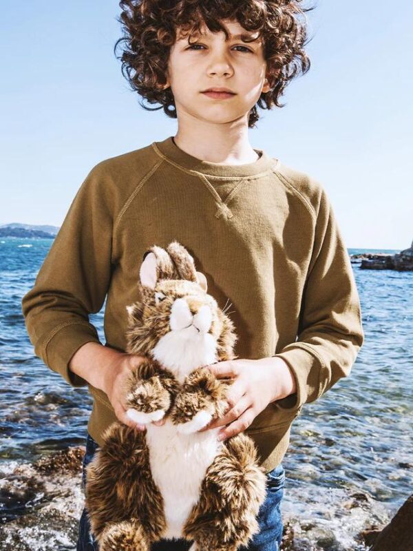 WWF Brown hare - 30 cm