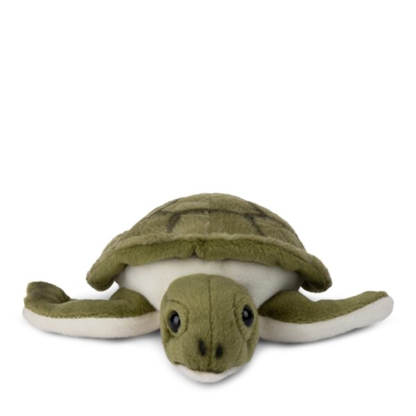 Turtle - 18 cm