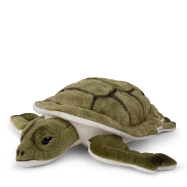 Turtle 23 cm