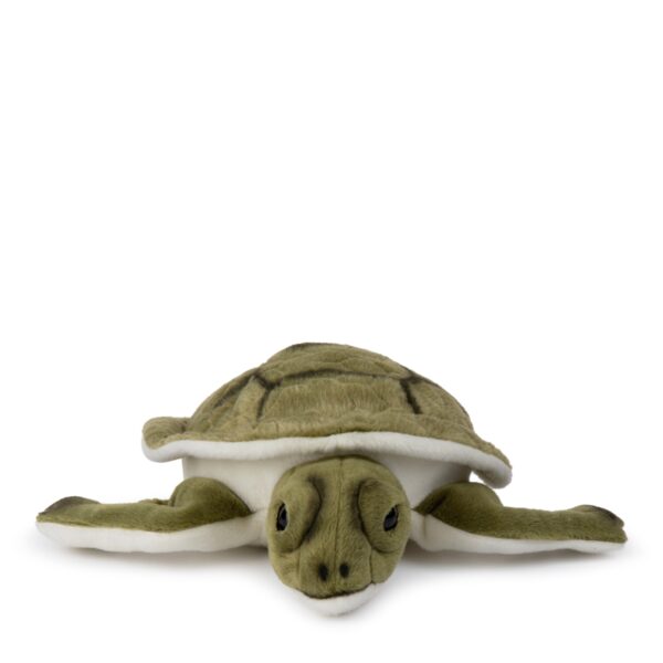 Turtle 23 cm
