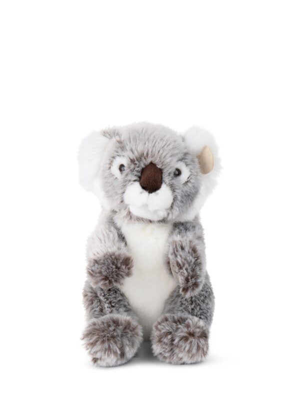 Koala - 15cm