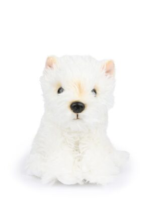 Timothy the Scottish Terrierin in giftbox 17 cm