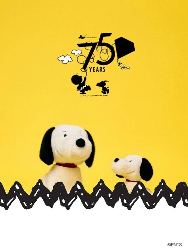 Good Ol' Charlie Brown Snoopy - 18 cm