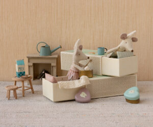 Tooth fairy mouse, Little sister in matchbox