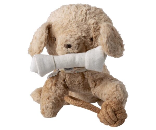 Pet supply, Toys