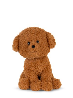 Labradoodle in gift box Brown 18cm