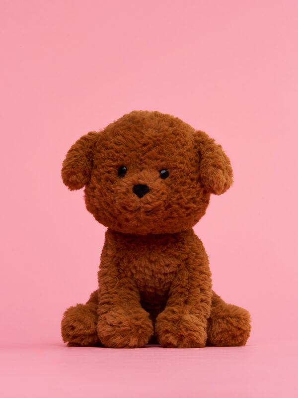 Labradoodle in gift box Brown 18cm