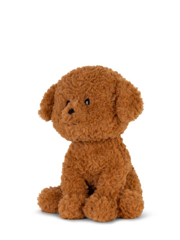 Labradoodle in gift box Brown 18cm