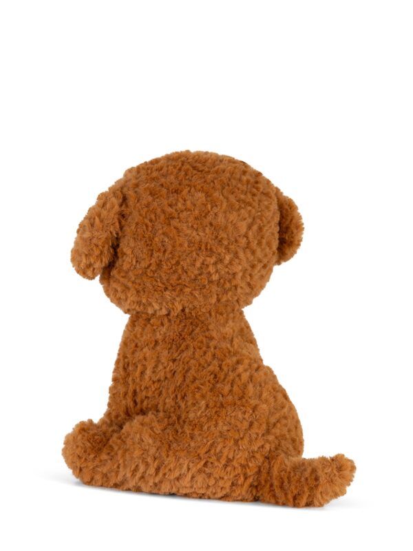 Labradoodle in gift box Brown 18cm