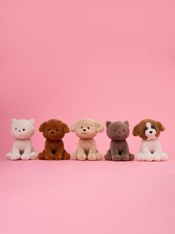 Labradoodle in gift box Brown 18cm