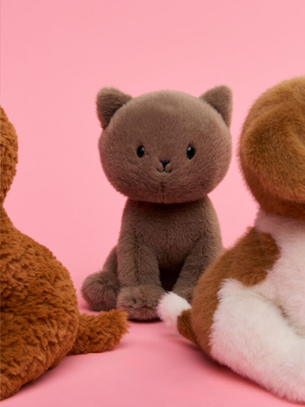 Freddy the British Shorthair in gift box Grey 18cm