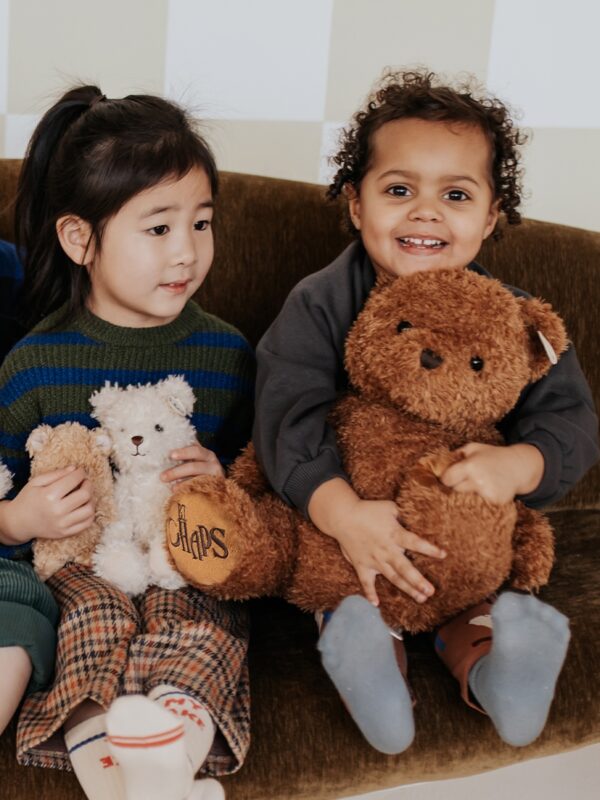 Henry the Grande Bear Brown 38cm