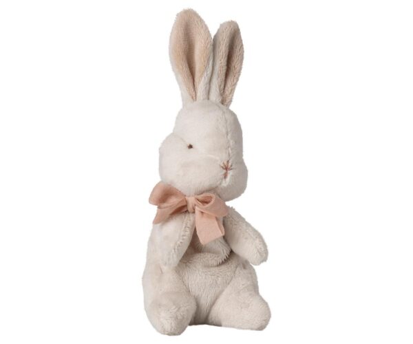My first bunny - Powder