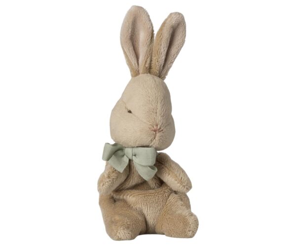 My first bunny - Mint