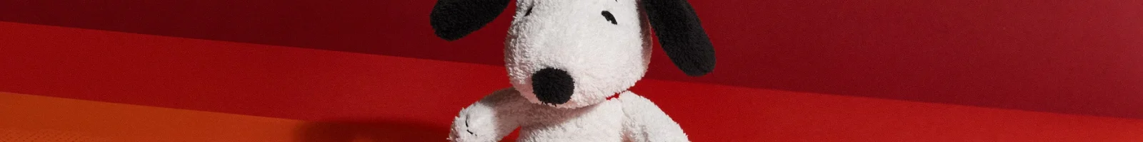 peanuts_banner